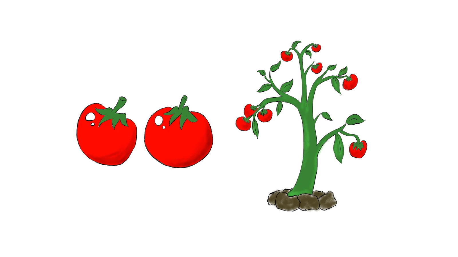 Concept art of two tomatoes and a fruiting tomato plant