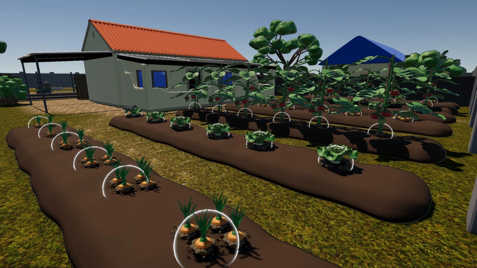 Garden Growers gameplay: rows of carrots, lettuces and tomato plants growing under protective domes in front of a small house